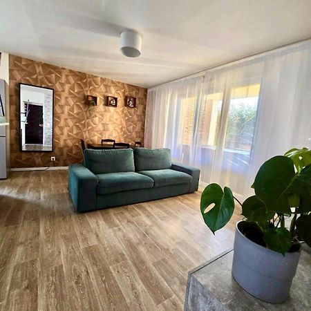Appartement Rez De Chaussee Avec Parking Prive オルレアン エクステリア 写真